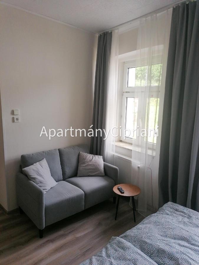 Apartmany Cipriani Яхимов Екстериор снимка